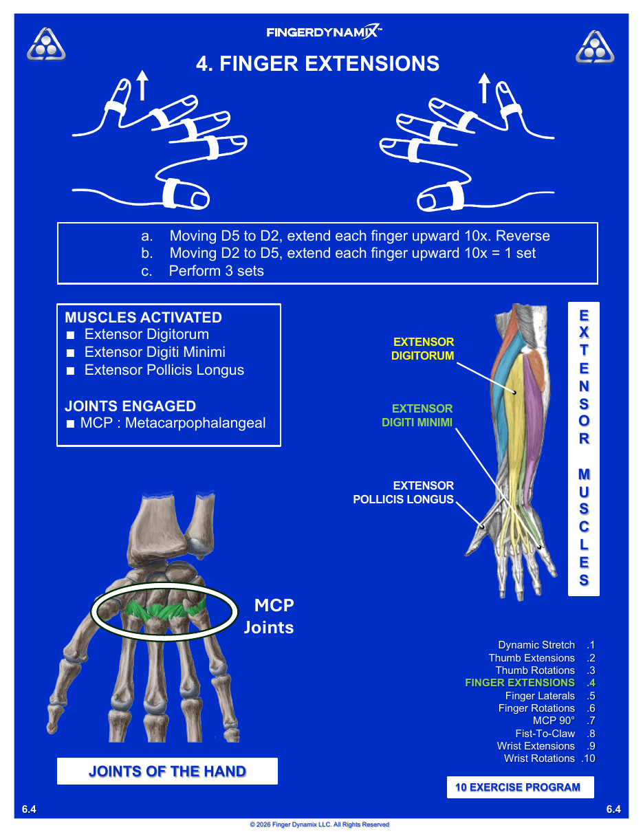 Finger Extensions exercise sheet — movements, sets, and muscles activated